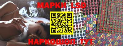 бошки Кимры