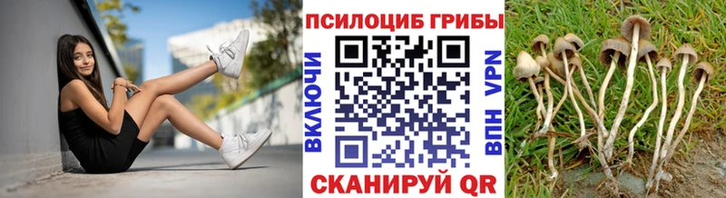 Галлюциногенные грибы ЛСД  MEGA ONION  Клинцы  хочу  