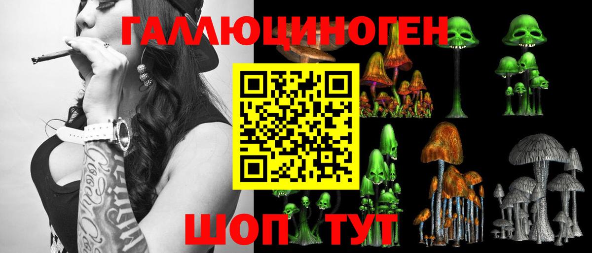 Клинцы  Псилоцибиновые грибы Psilocybe  Псилоцибиновые грибы Psilocybine cubensis  Вход с VPN 